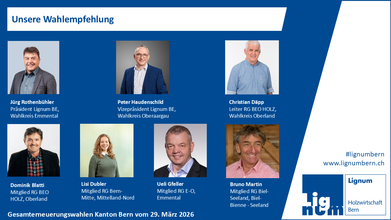 Collage Kandidierenden-Fotos