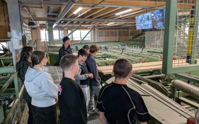 Wald- und Holzberufe erleben – Angebot für Schulen