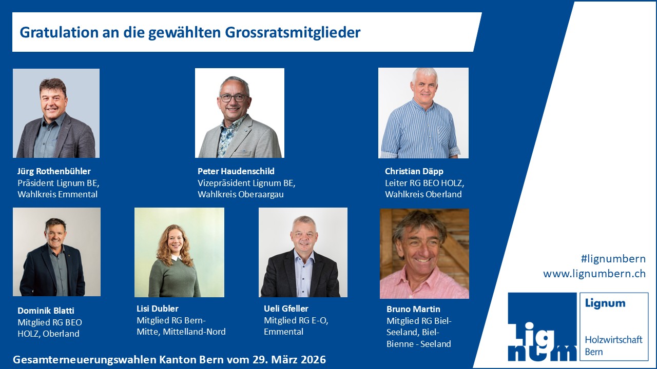 Collage Kandidierenden-Fotos