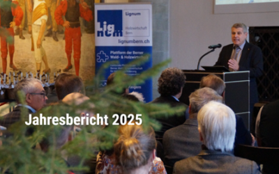 Jahresbericht 2025 zum Nachlesen