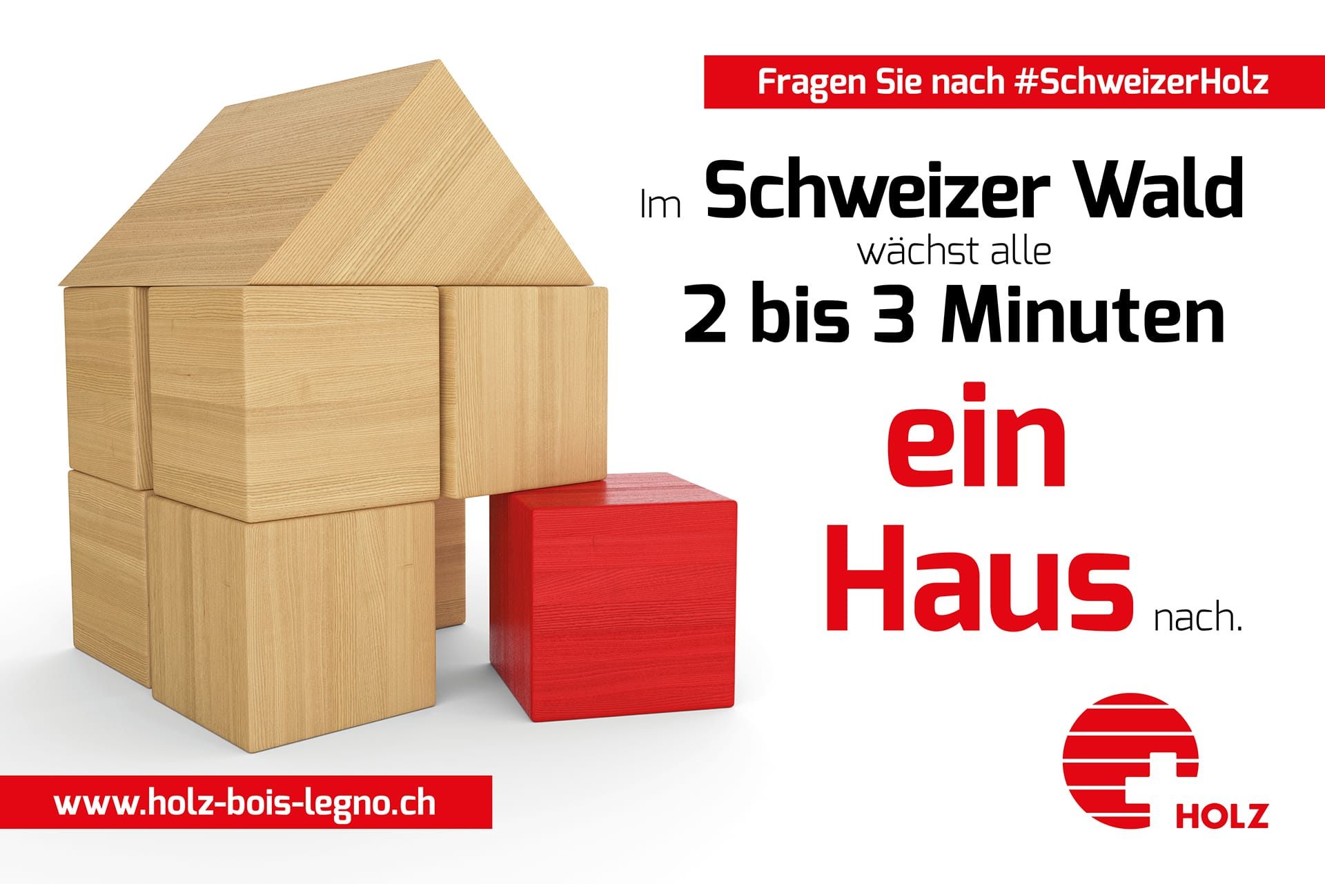 Im Schweizer Wald wächst alle 2–3 Minuten ein Haus nach.