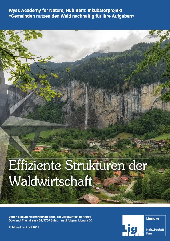 2025-wald-holz-kompass-effiziente-strukturen.png