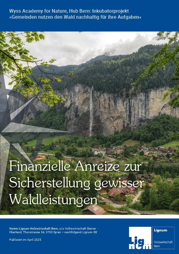 2025-wald-holz-kompass-finanzielle-anreize.png