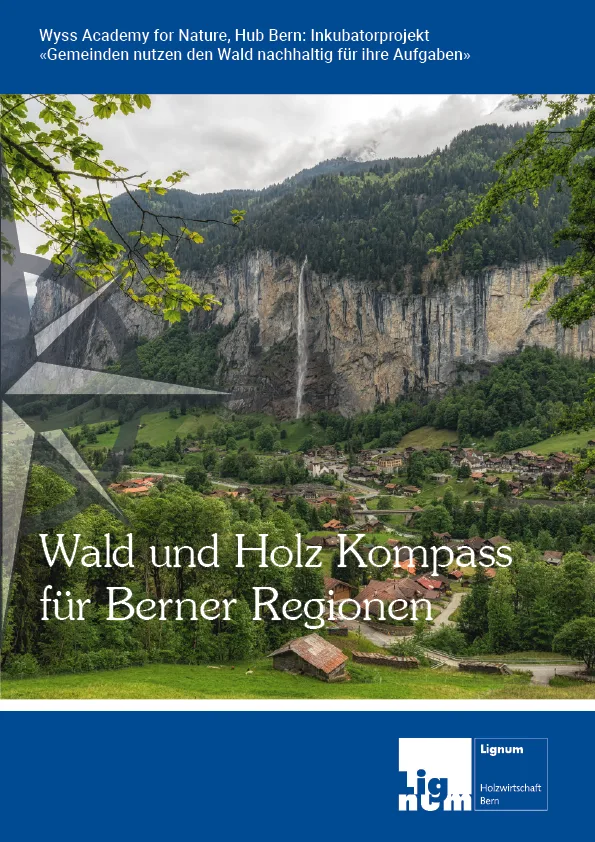 2025-wald-holz-kompass-uebersicht.png