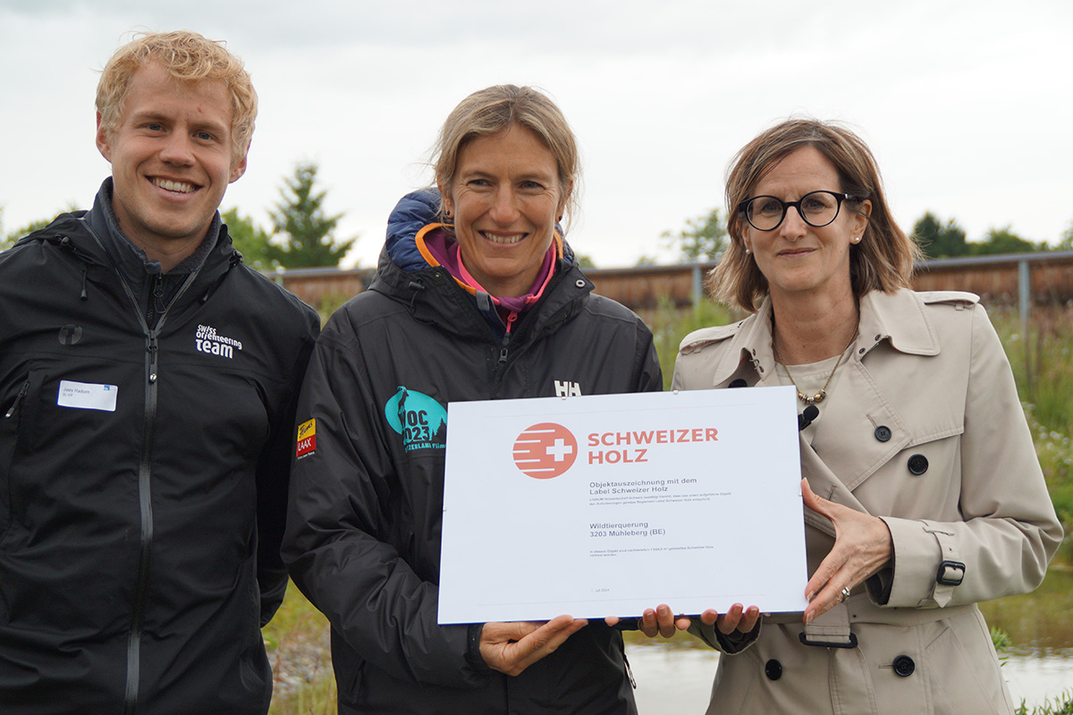 tp3-sensibilisierung